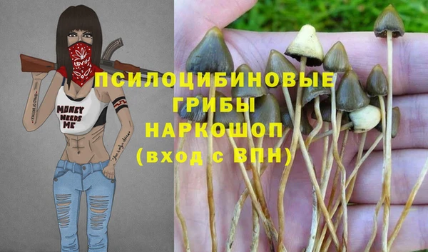 МДПВ Балахна